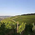 Weinquartier Burggarten * Bad Neuenahr-Ahrweiler