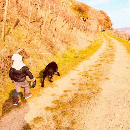 Weinquartier Burggarten 호텔