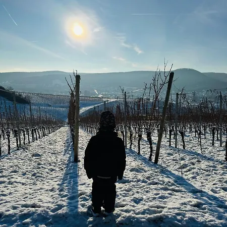 Weinquartier Burggarten *