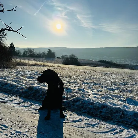 Weinquartier Burggarten * 바트노이에나르아르바일러