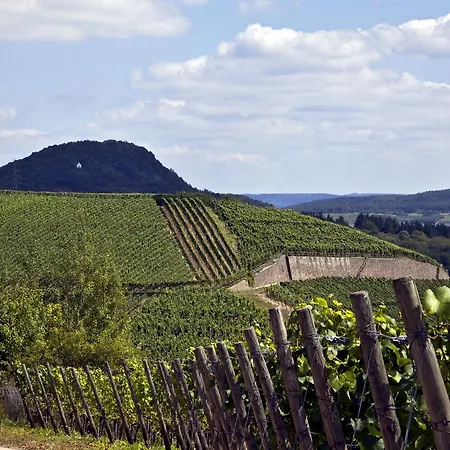 Weinquartier Burggarten * 바트노이에나르아르바일러
