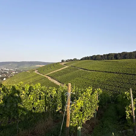 Weinquartier Burggarten * Bad Neuenahr-Ahrweiler