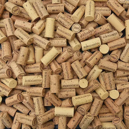 Weinquartier Burggarten * 바트노이에나르아르바일러