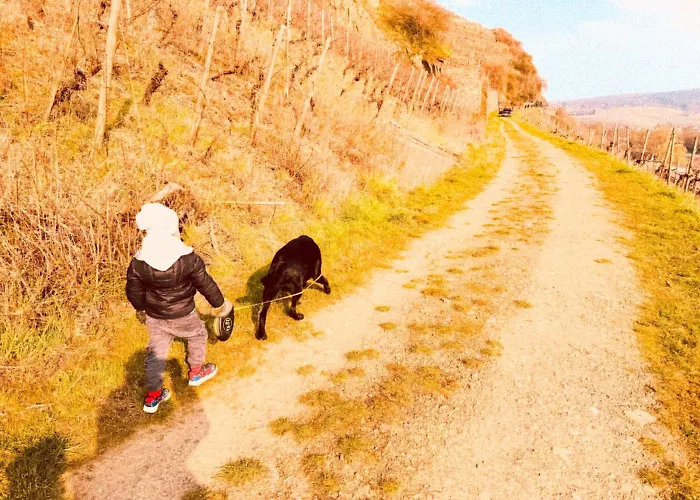 Weinquartier Burggarten Hotel