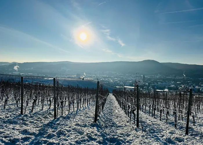 Weinquartier Burggarten Bad Neuenahr-Ahrweiler