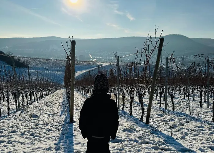 Weinquartier Burggarten *