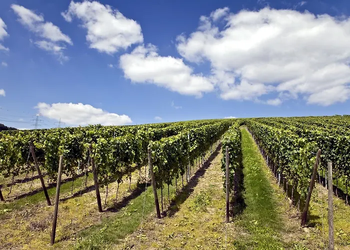 Hotel Weinquartier Burggarten *