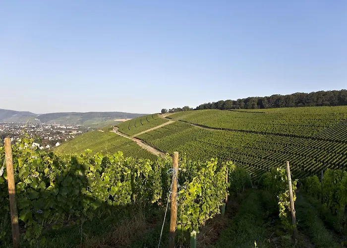 Weinquartier Burggarten * Bad Neuenahr-Ahrweiler